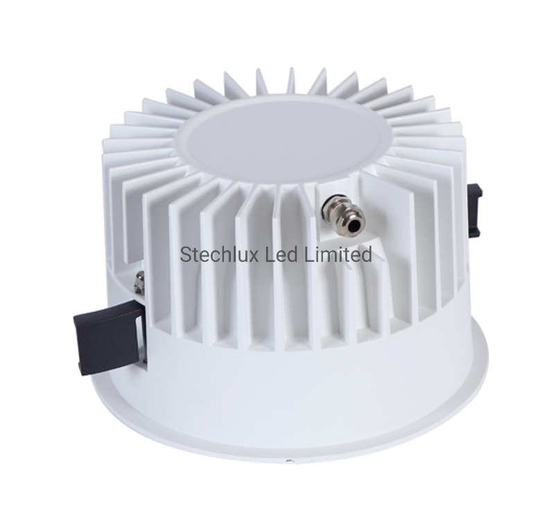 Dali Dimmable CE/RoHS/SAA Approved Anti-Glare Ugr7-20 Flicker Free 30W Beam Angle Adjustable COB Recessed LED Light Downlight