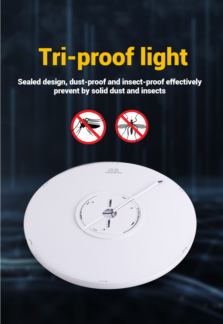 LED Ceiling Light Specifications View