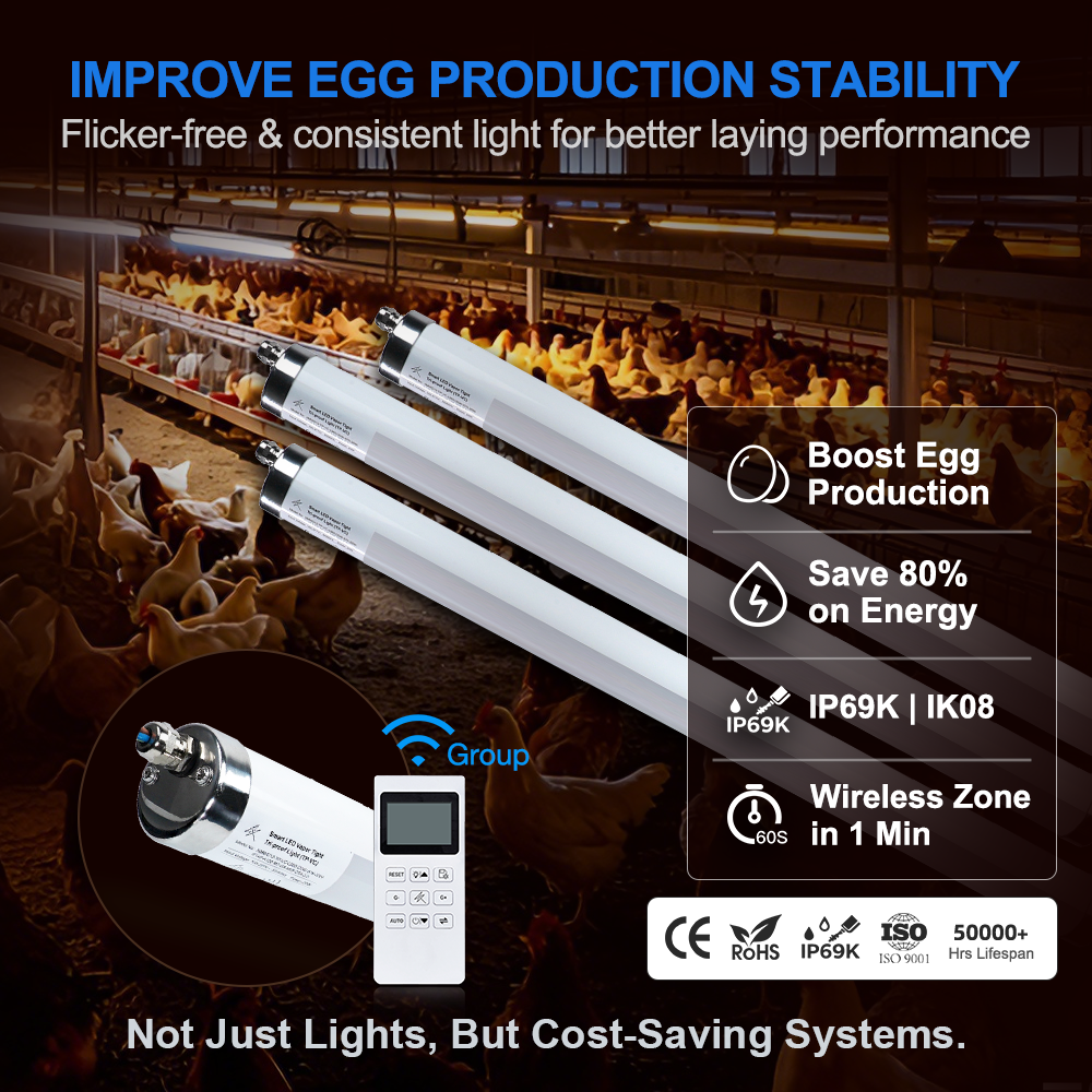 Amelech 5-Year Warranty High Quality 0.6m 1.2m 1.5m IP65 Tri-proof LED Tube Batten Light For Warehouse Supermarket 3-CCT