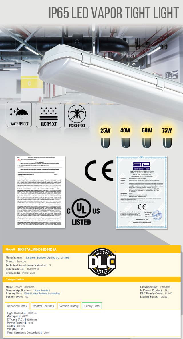 Tube Light Fitting