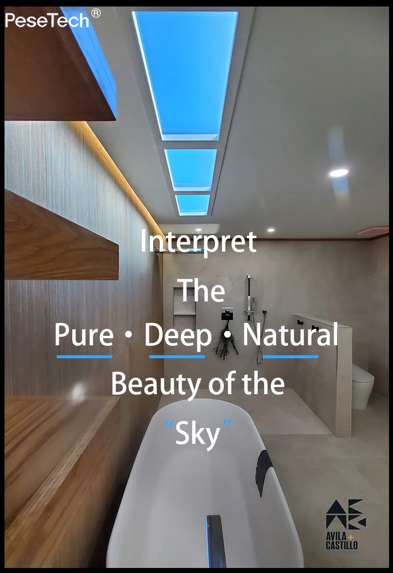 Smart APP Control LED Skylight Ceiling Panel Light Detail 1