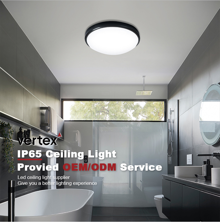 LED Downlight Feature 2