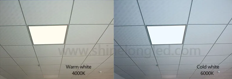 Detailed Photo