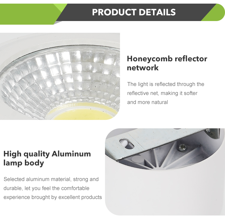 LED Downlight View 10