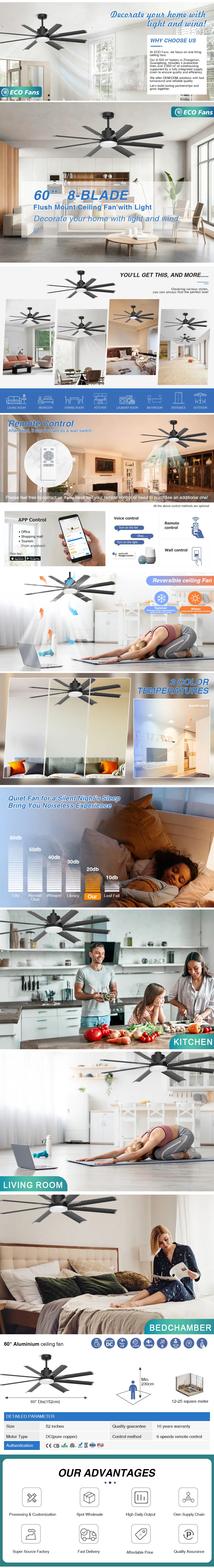 Smart APP Control Ceiling Fan Details