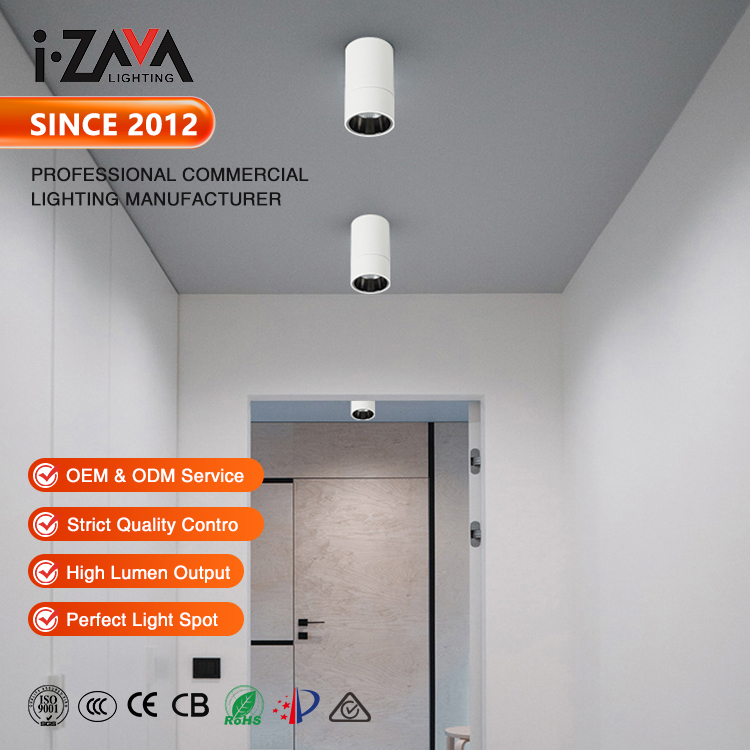 Factory Direct Hotel Office Home Aluminum Down Light Surface Mounted SMD COB LED Downlight