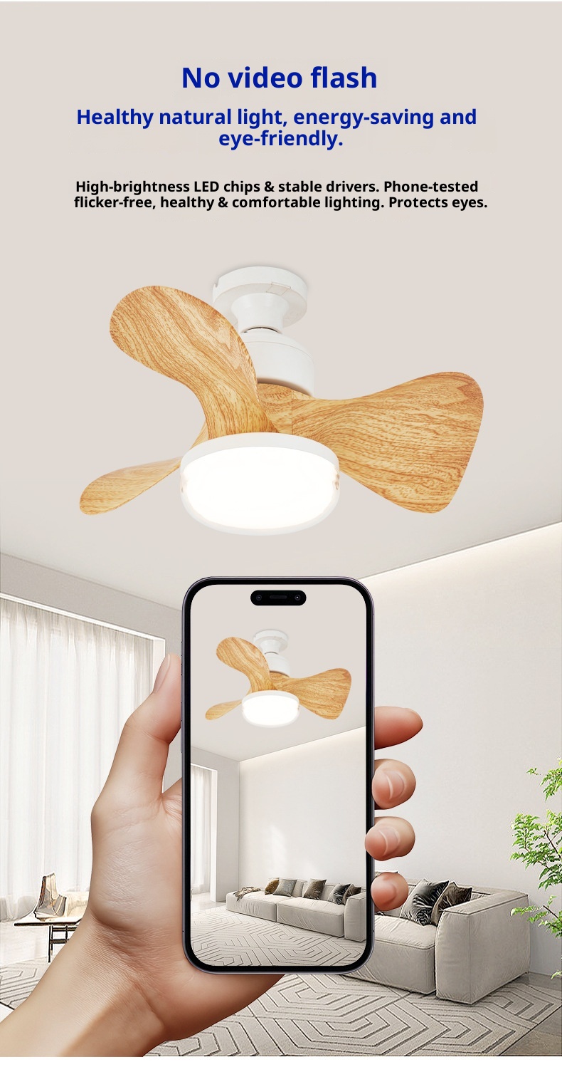 Ceiling Fan Light Details