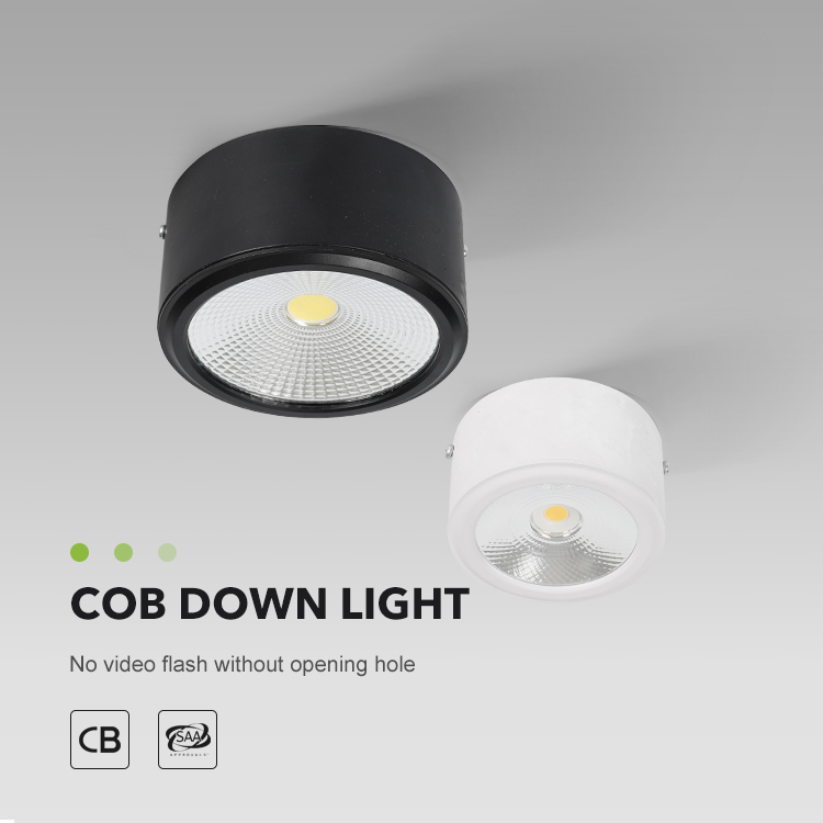 LED Downlight View 1