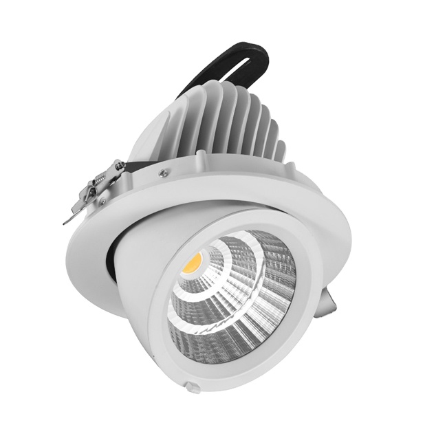 Store Lighting 40W Fresh Meat Spot Lights Adjustable Gimbal Downlight COB LED Down Light With Pink Color
