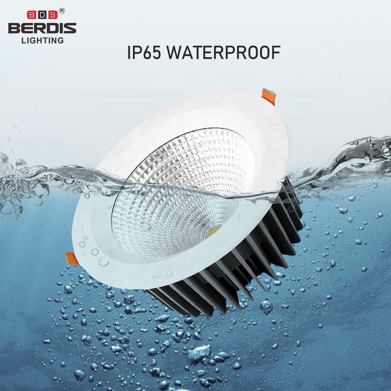 Dustproof Aluminum Die Cast 36W 45W 50W COB Chips LED Downlight for Supermarkets Shopping Malls