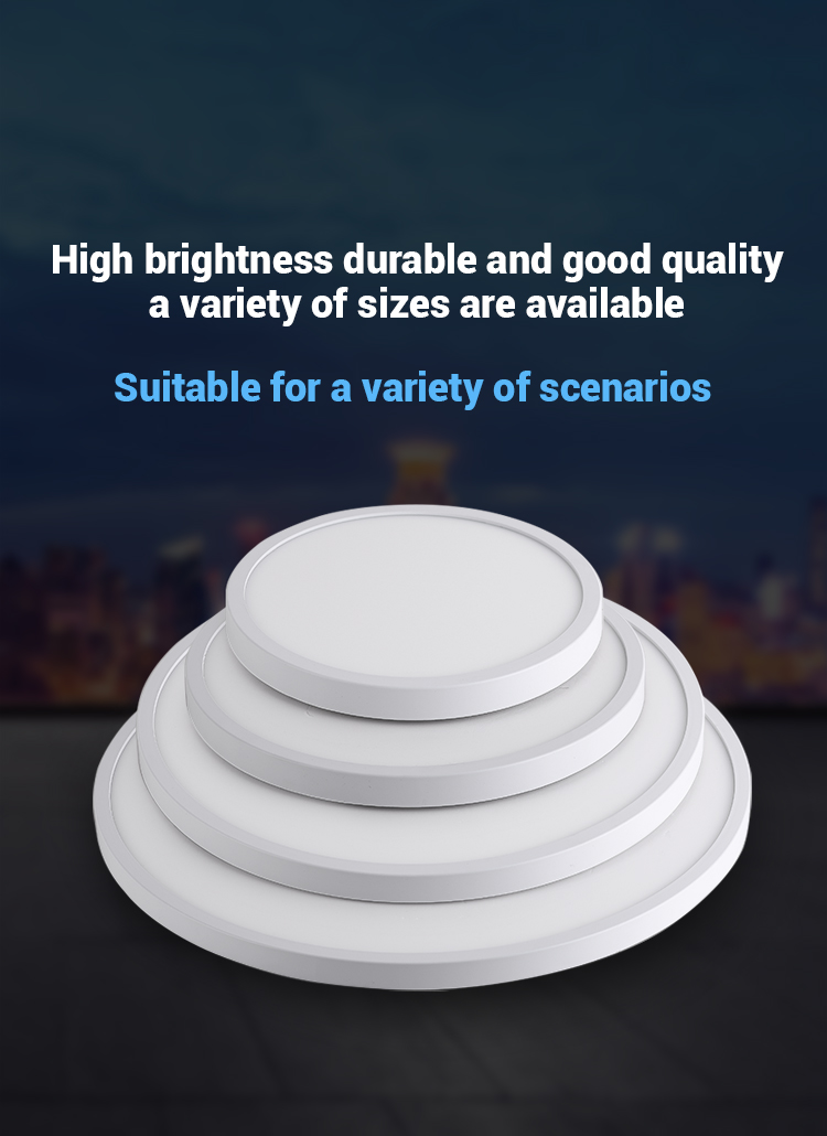 LED Ceiling Light Details