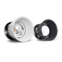 LED Down Light