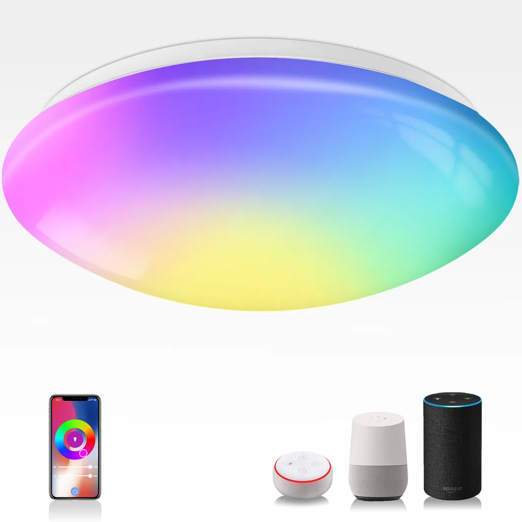 Voice or APP Control Ceiling Light