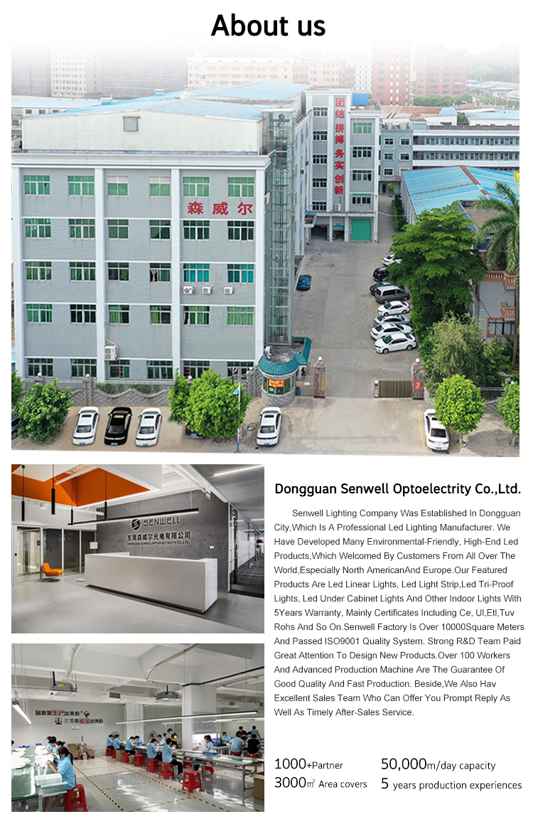 Company Profile