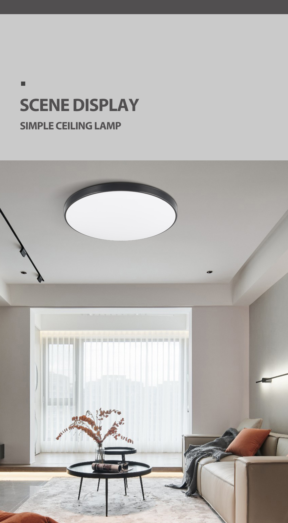 Modern LED Ceiling Light Livingroom