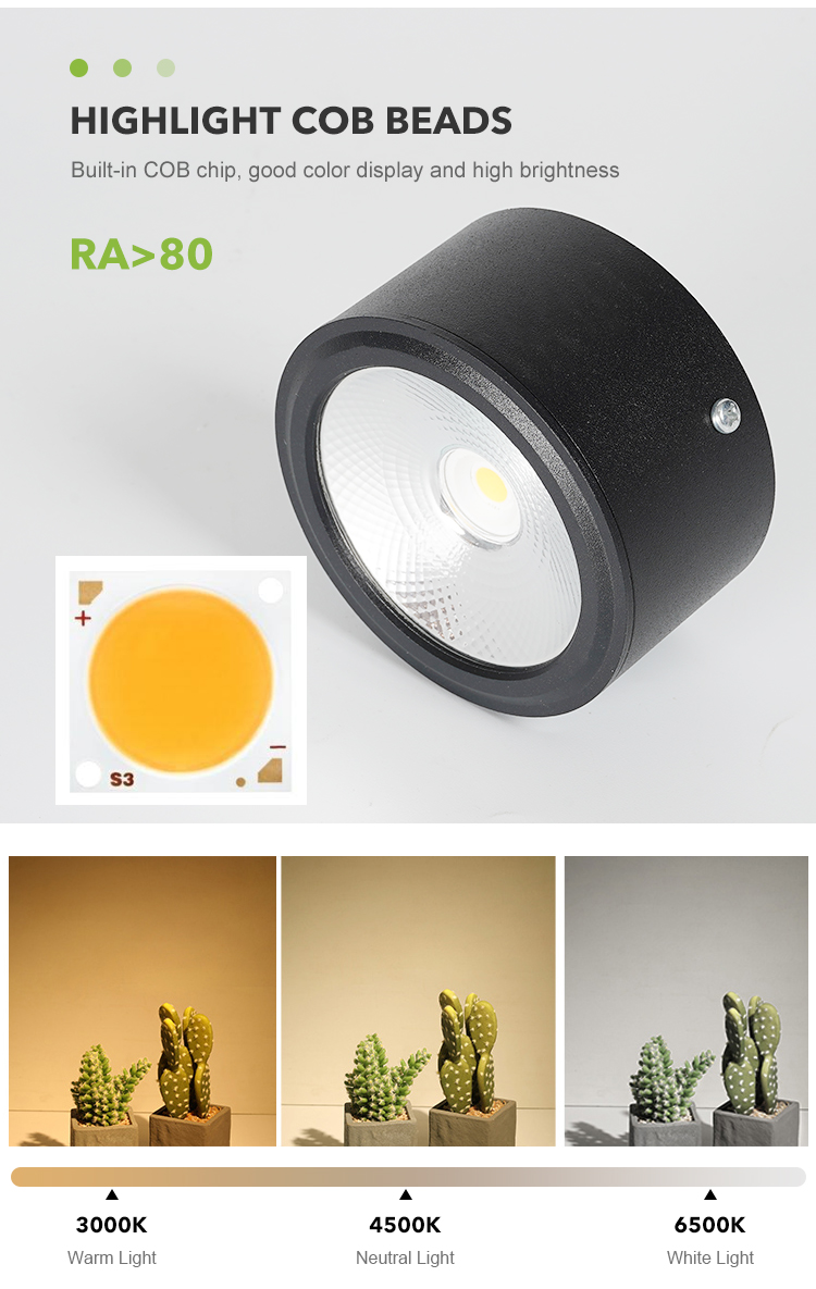 LED Downlight View 4