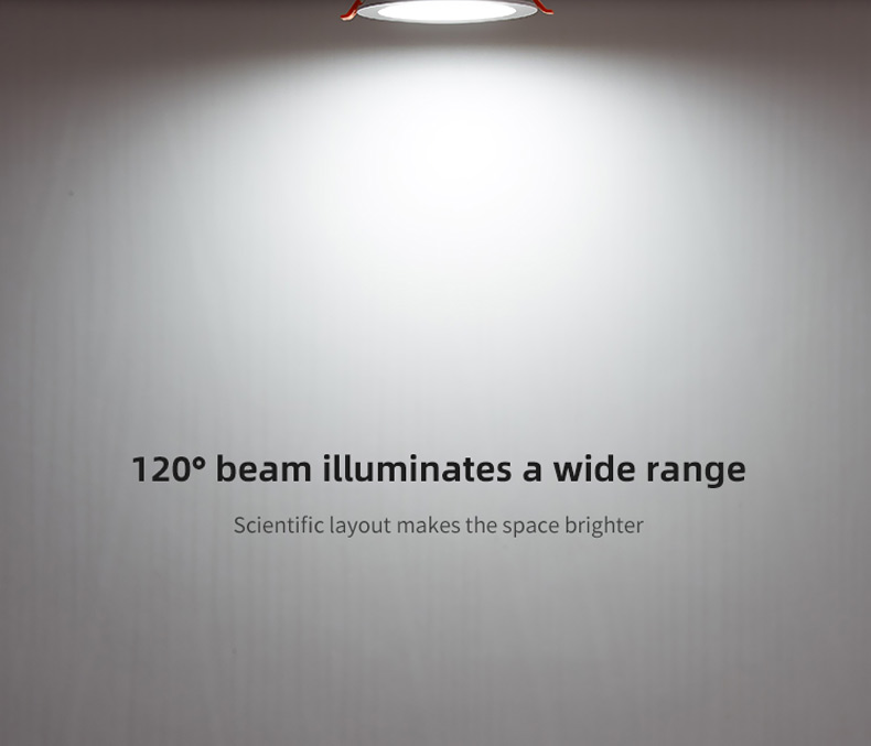 Product Details 4