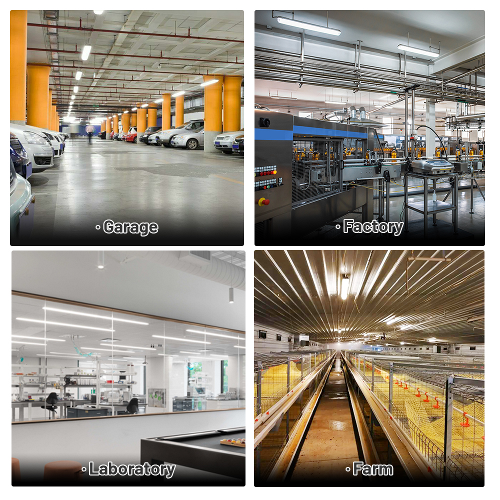 Brandon Industrial Led Lighting Explosion-Proof Surface Mounted Led Batten Tri-Proof Light Warehouse Waterproof Light
