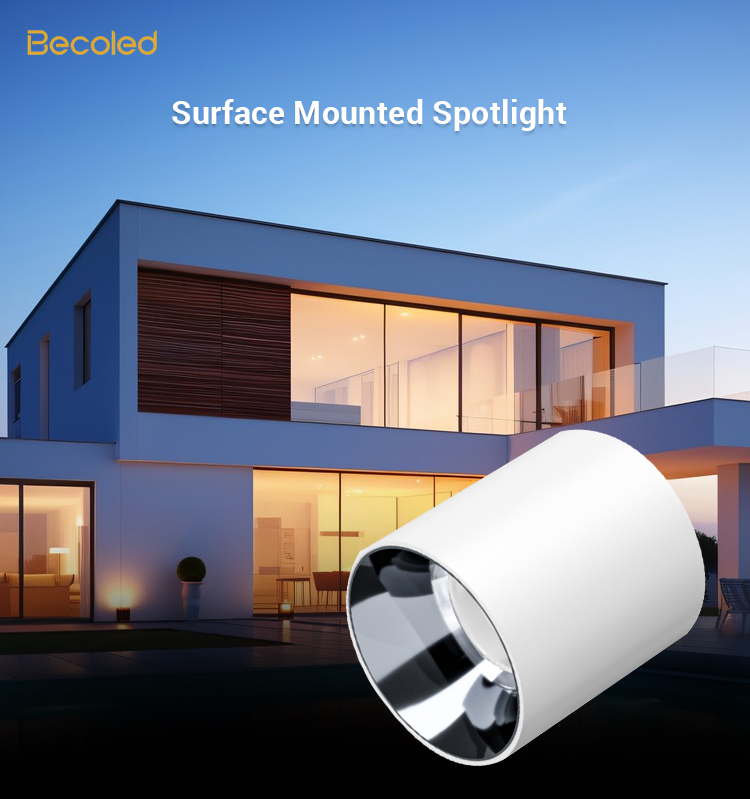 Surface Mounted Downlight Showcase 1