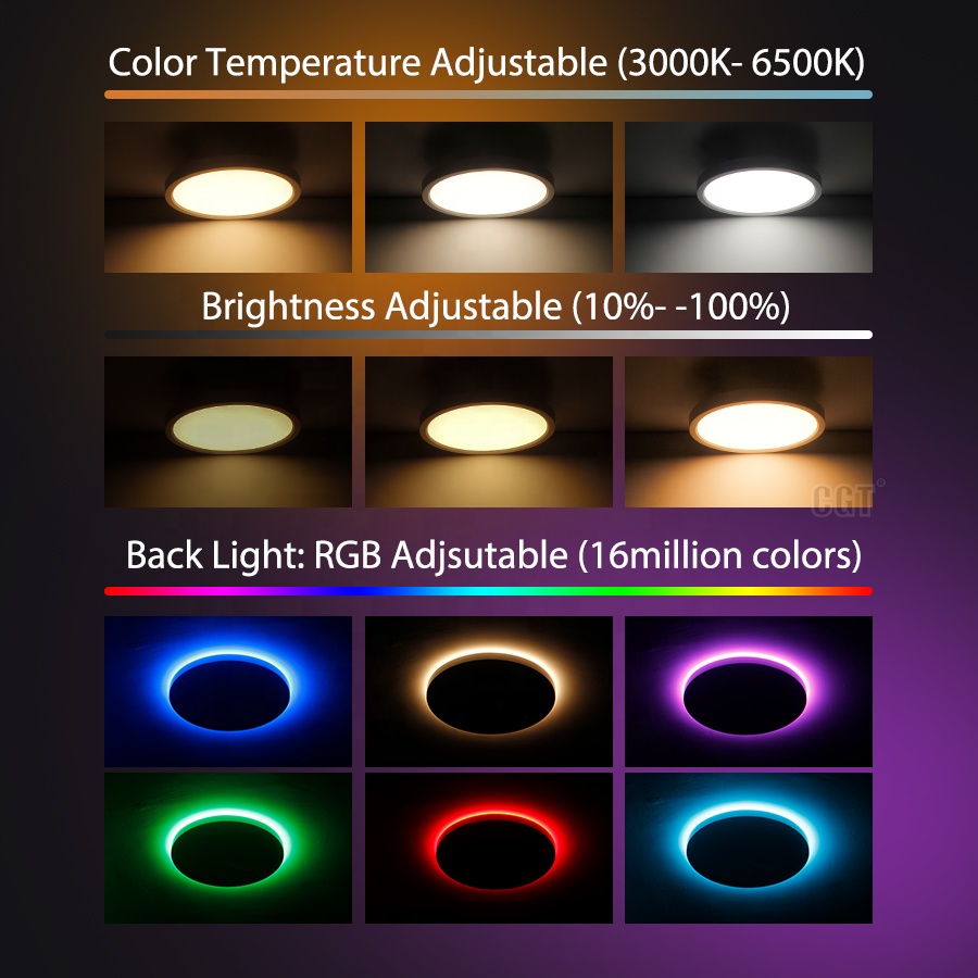 Decorative Unique 12" 300mm Flush Mount Speaker Plastic RGBW Dimmable Kids Room Alexa WIFI Tuya LED Panel