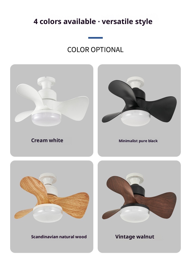 Ceiling Fan Light Details