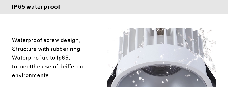 Downlight Application Demo 1