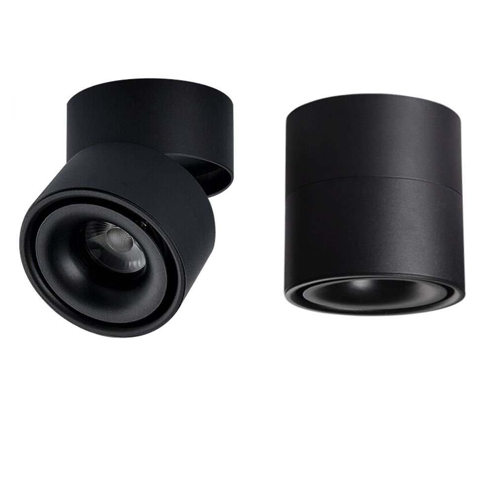 12W LED Downlight up and Down Adjustable Surface Mounted Down Light