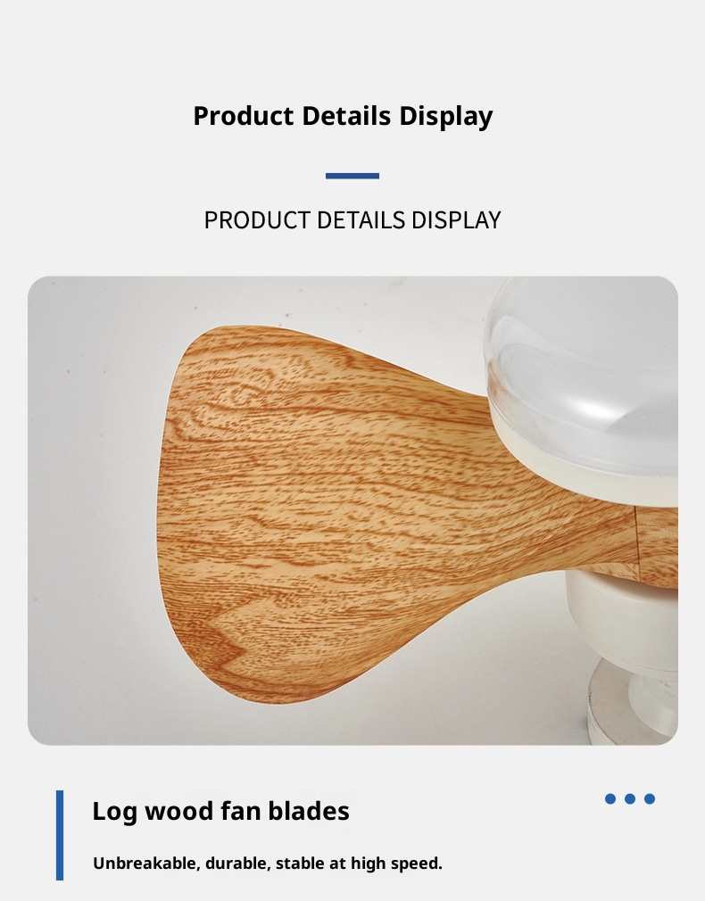 Ceiling Fan Light Details