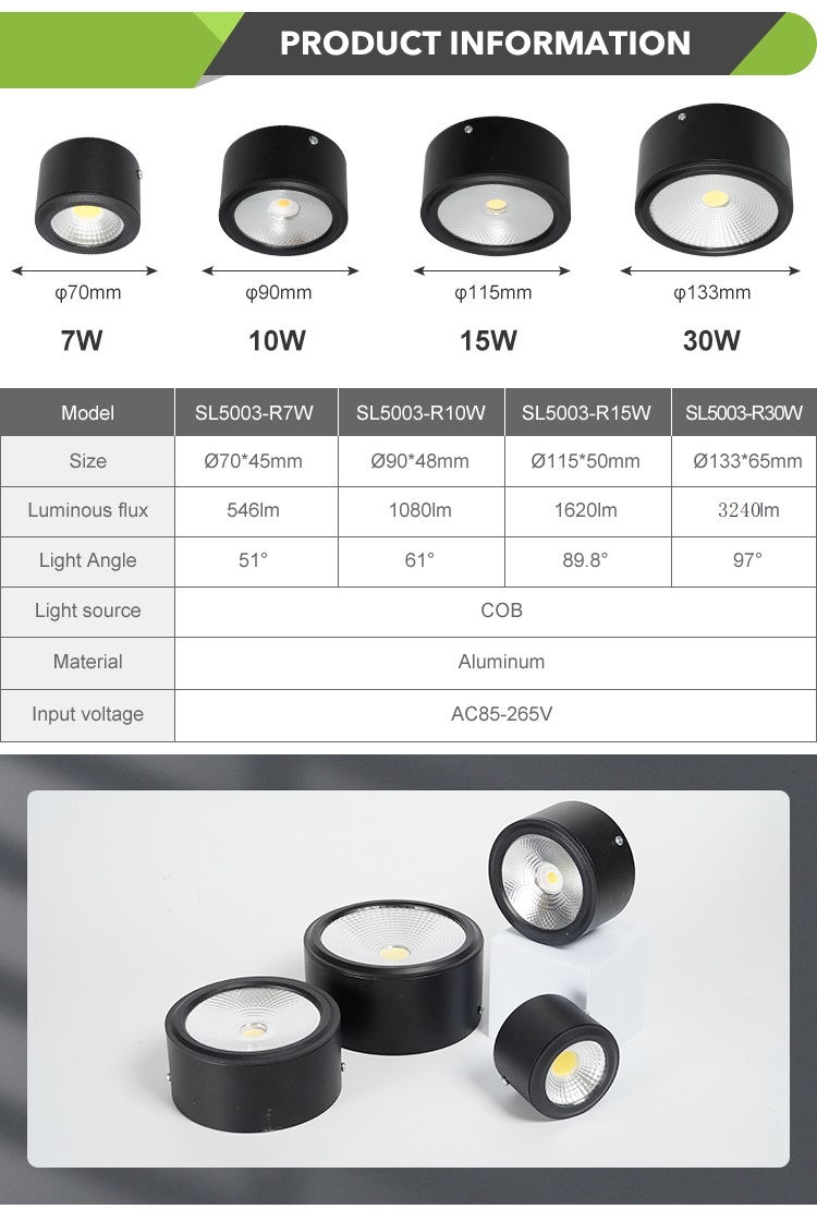 LED Downlight View 3