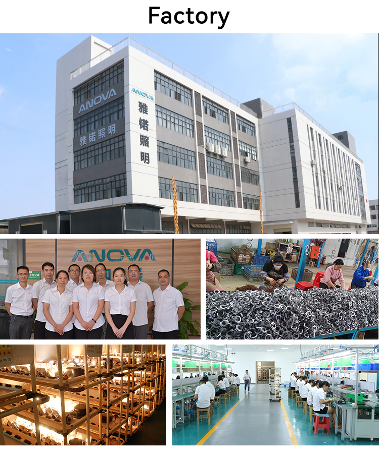 Production Facility