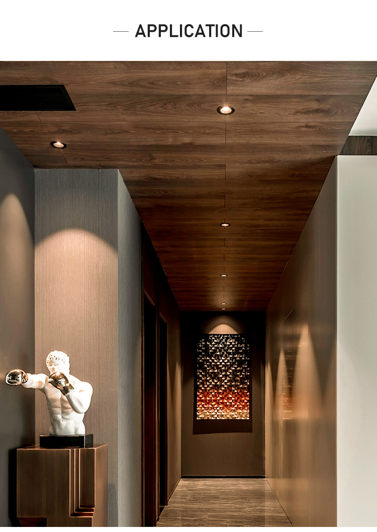 LED Spotlight Fitting