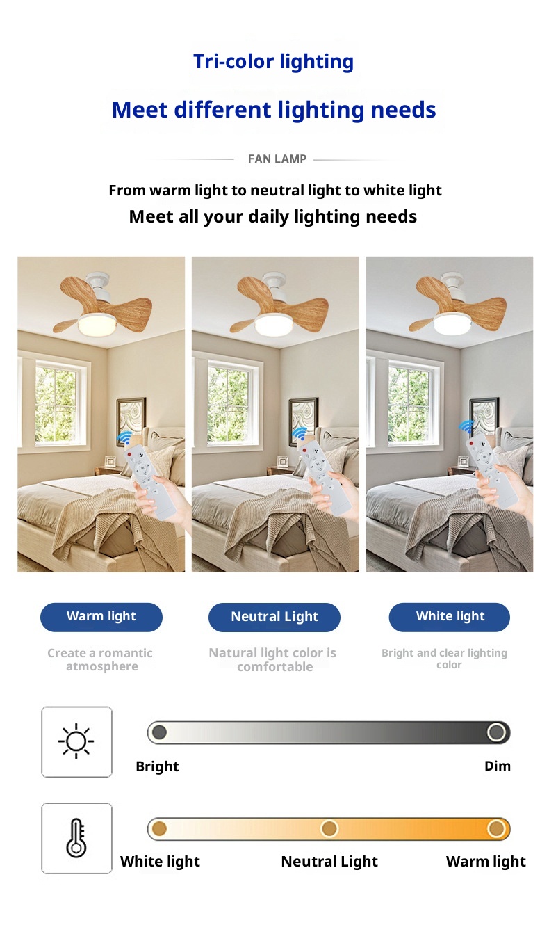 Ceiling Fan Light Details