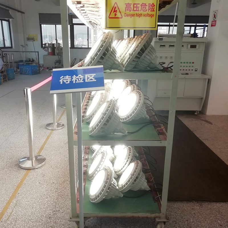 Industrial Explosion Proof Lighting Fixtures 80W Hazardous Location Lighting IP66 Outdoor Waterproof Anti Explosion Lamp
