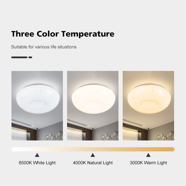 Surface Mounted Ceiling Light Led Ceiling Light Modern for Living Room Ceiling Lights