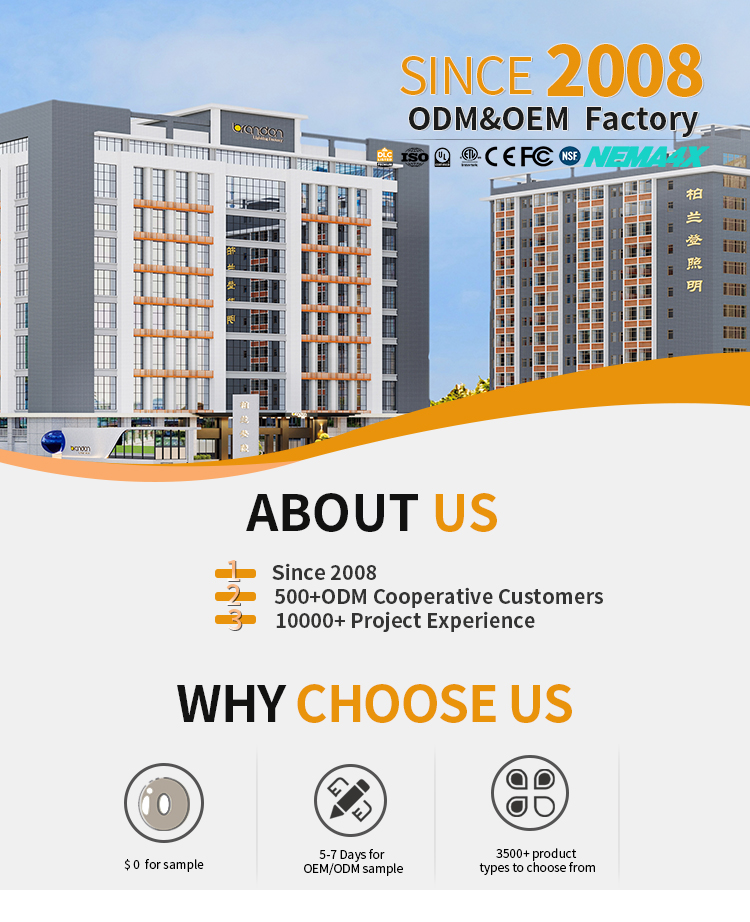 Company Overview 1