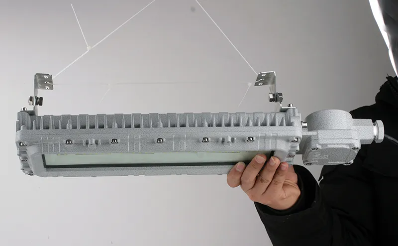 Explosion-Proof Light Render 2