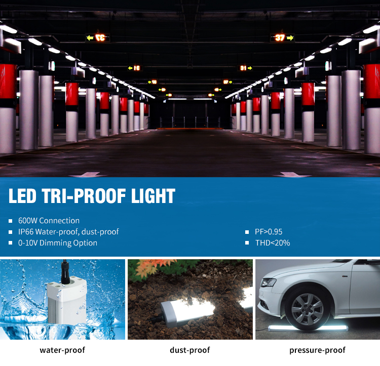 Tri-proof LED Lamps 60W 40W IP66 Waterproof Triproof Lighting Fixture ETL DLC TUV CE SAA