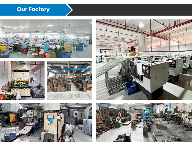 Company Profile View 3