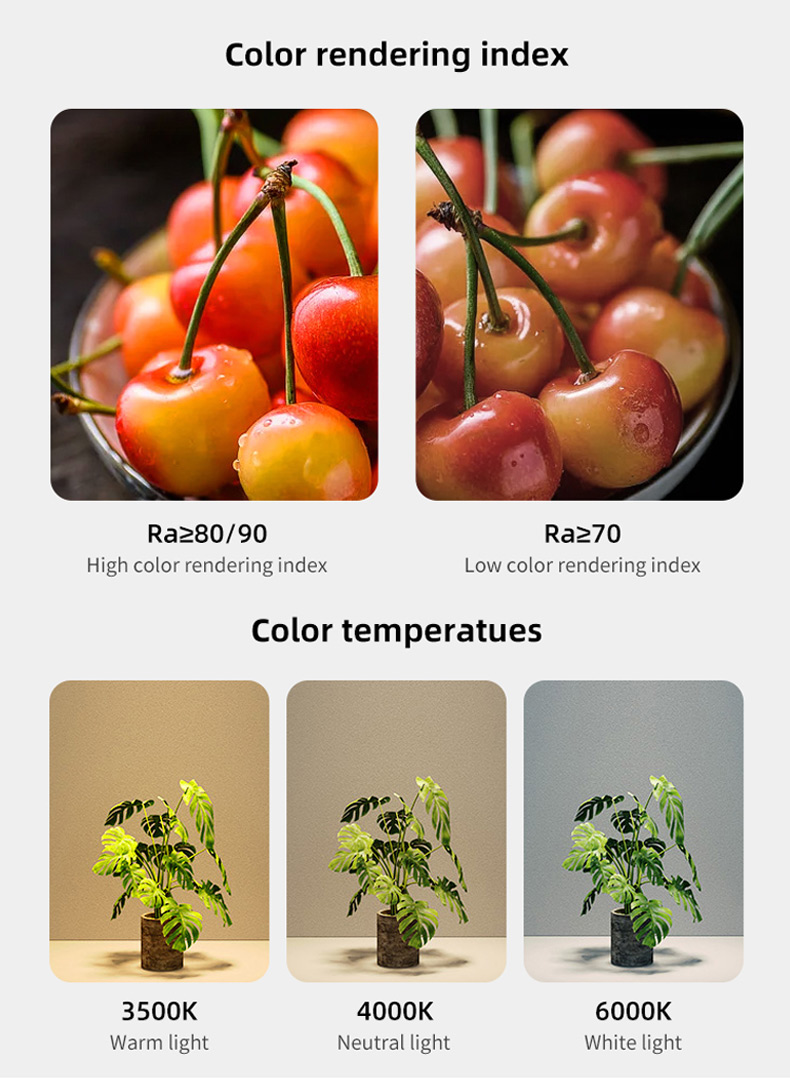 Product Details 5