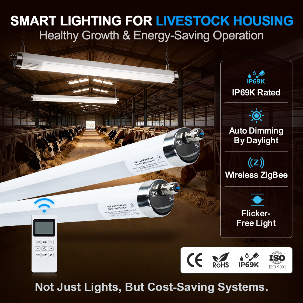 Amelech 5-Year Warranty High Quality 0.6m 1.2m 1.5m IP65 Tri-proof LED Tube Batten Light For Warehouse Supermarket 3-CCT