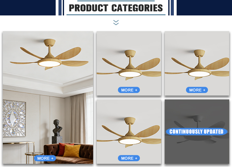 Product Detail 2