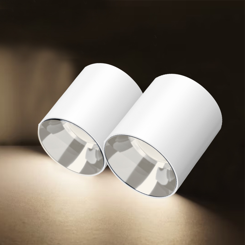 Modern 10W Power LED Downlight Home Office Living Room Indoor Aluminum Waterproof IP65 Adjustable Cob Chip Surface Mounted