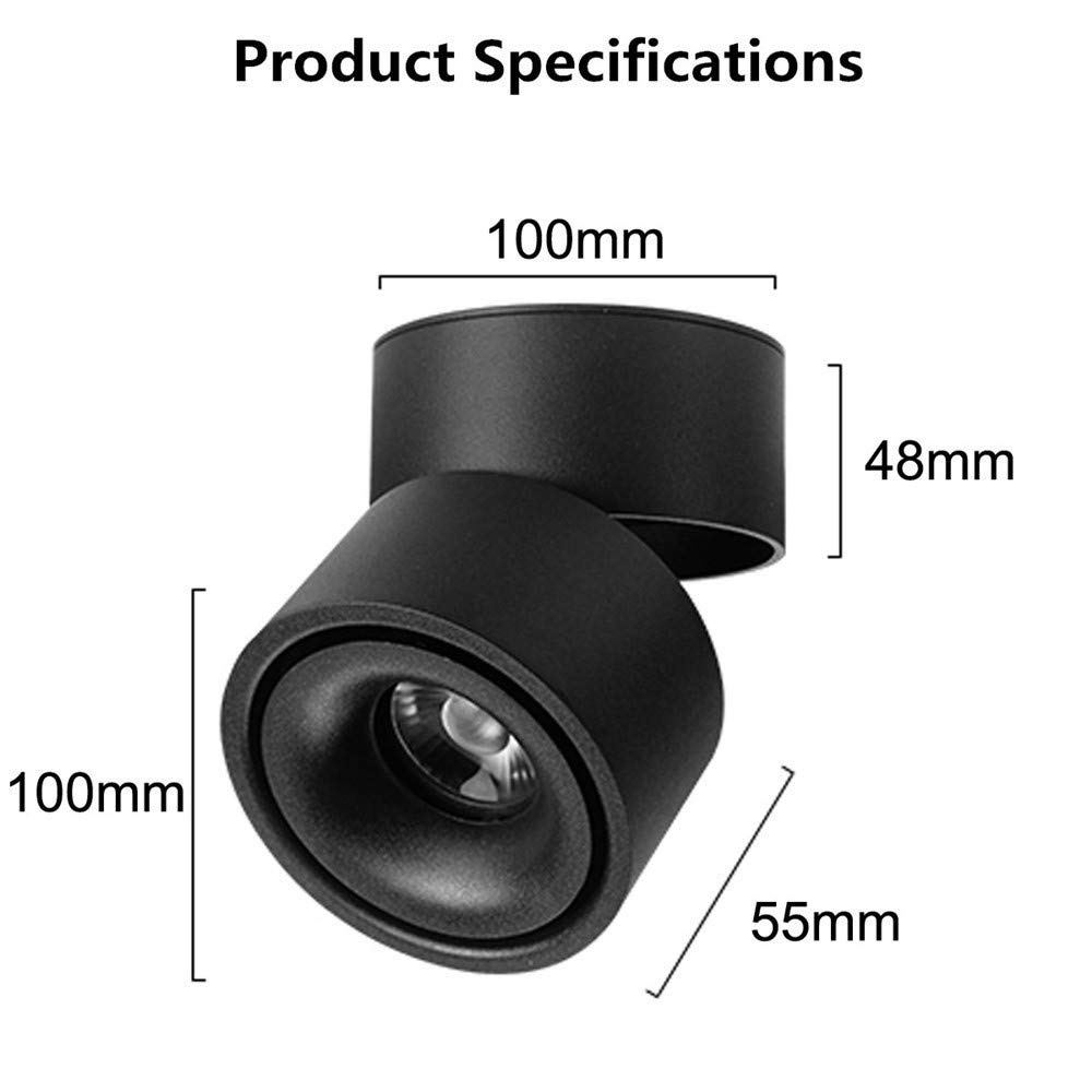 LED Ceiling Light