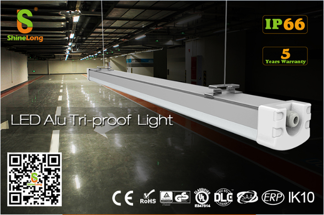 LED Triproof Light Detail