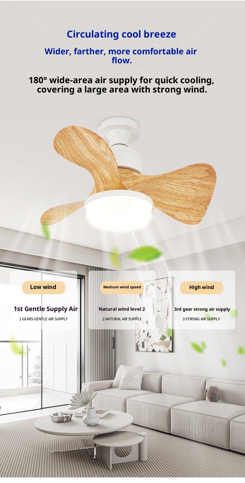 Ceiling Fan Light Details