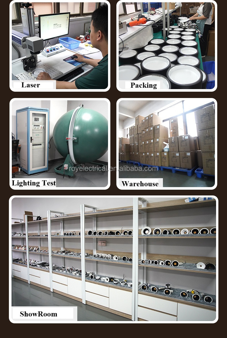 LED Downlight View 6