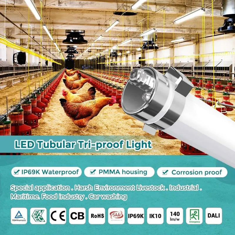 Lighting Use Picture 3