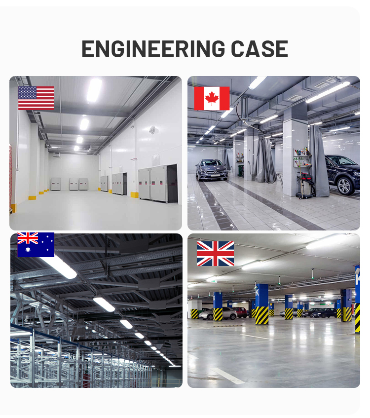 Product Options