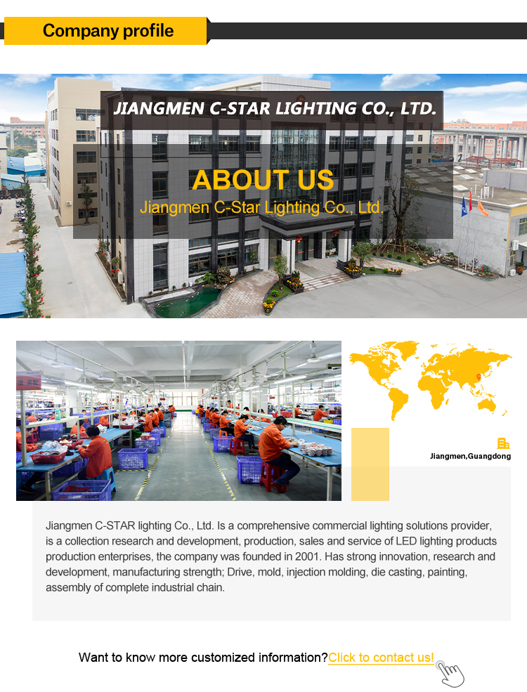 Company Showcase 1
