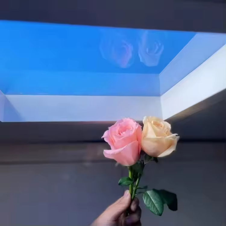 Bbler Smart LED Ceiling Skylight Sunlight Lamp Blue Sky Panel Light with Zigbee Tuya APP Control Panel